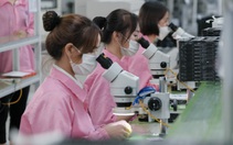 Sau Tết, hàng trăm ngàn vị trí tuyển dụng chờ người lao động