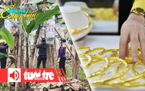 Điểm tin 18h: Chuối Tết giá bạc triệu; Người Việt giảm mua vàng