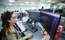 VN-Index suýt cán mốc 1.200, Tết này nhà đầu tư chứng khoán nào có ‘bánh chưng nhân thịt’?