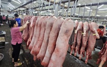 29 Tết: thịt heo về chợ dồn dập, giá ba rọi và sườn non tăng mạnh
