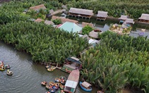 Chấp nhận bị kỷ luật, chủ tịch xã ở Hội An nói bà con phấn khởi vì sẽ giữ được rừng dừa Cẩm Thanh