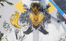 Vẽ graffiti lên tường nhà dân: Quận Ngũ Hành Sơn sẽ mời cơ quan chuyên môn thẩm định tranh