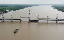 Cao điểm xâm nhập mặn, 80.000ha lúa, cây ăn trái có nguy cơ bị ảnh hưởng