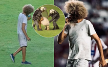Hành động ‘ngáo đá’ của cổ động viên Brazil