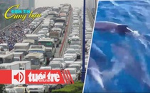 Điểm tin 18h: Cá heo bơi tung tăng ở Mũi Điện; Xe đi đường không được tùy tiện bấm còi