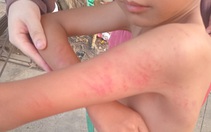 Con học lớp 1 bị cô giáo đánh, mẹ đến trường tát cô, chủ tịch huyện vào cuộc