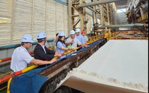 Phân bón Cà Mau tích cực tìm kiếm, mở rộng thị trường tại ASEAN