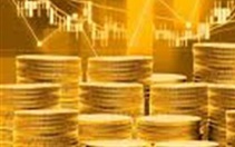 Người phụ nữ bị lừa 24 tỉ đồng vì đầu tư sàn vàng online