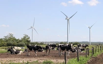 Đan Mạch thông báo áp thuế CO2 đối với ngành chăn nuôi từ năm 2030