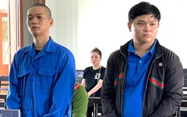 Làm giả con dấu, tài liệu, hai cậu cháu cùng vào tù