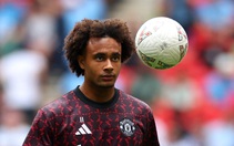 Lịch trực tiếp bóng đá châu Âu 24-8: Man United đấu với Brighton