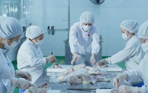 Xuất khẩu cháo tươi từ gạo ST25 sang Mỹ