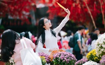 Mùng 2 Tết, người dân TP.HCM trẩy hội ở đường hoa, Nhà văn hóa Thanh niên