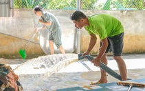 Bắc Ninh sau lũ lịch sử, khu công nghiệp lại sáng đèn, người dân chung tay dọn dẹp nhà cửa