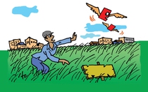 Chờ đợi cả thập kỷ, cỏ lên xanh mà chưa có sổ đỏ
