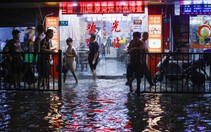Thượng Hải, Thâm Quyến nguy cơ chìm vì đất lún và nước biển dâng