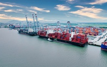 Bộ Xây dựng thông tin về các dự án cụm cảng Cái Mép - Thị Vải, cầu vượt biển Cần Giờ