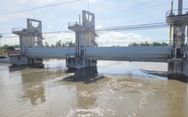 Đóng cống Tha La và một phần cống Trà Sư để bảo vệ lúa thu đông