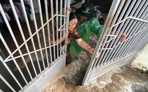 Phải xin kinh phí khắc phục ngập lụt sau khi... nâng cấp đường cao hơn nhà dân