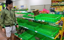 Đà Nẵng: Người dân đổ xô mua thực phẩm tích trữ trước bão, rau xanh 'cháy hàng'