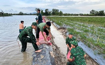 Mực nước lũ đầu nguồn miền Tây cao hơn năm ngoái cả thước