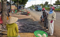 Chợ 9 tỉ bỏ hoang chục năm, chợ tự phát tràn ra quốc lộ 14, tiểu thương 'né' thuê và thuế?