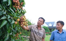 Thỏa thuận mới về thuế đối ứng: Mặt hàng nào có cơ hội hưởng thuế 0%?