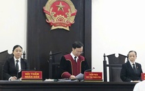Vụ 'người vay thoát nợ 5 tỉ': Tòa nhận định Novareal có dấu hiệu 'lừa đảo chiếm đoạt tài sản'
