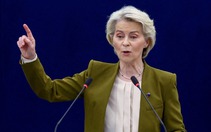 WTO cho phép EU áp thuế quan trả đũa Mỹ trong tranh chấp về ô liu