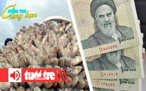 Điểm tin cùng bạn 8h: Bangladesh điều tàu chiến bảo vệ cá hilsa; Iran cắt 4 số 0 khỏi đồng nội tệ
