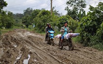 Đường dẫn vào 'cung đường trekking đẹp nhất Việt Nam' như ruộng cày