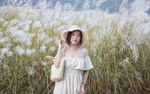 Mùa cỏ lau về, Đà Nẵng đẹp ngỡ ngàng những ngày cuối thu