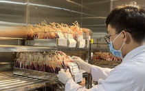 TP.HCM: Nguy cơ thiếu máu cứu người nghiêm trọng, nhu cầu tăng 20% sau sáp nhập