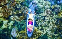 Phú Quốc đang đẹp nhất trong năm, khách quốc tế đổ về khám phá cả biển và rừng
