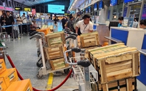 Miễn phí đổi hoặc bảo lưu vé chuyến bay do thời tiết xấu tại Cam Ranh, Tuy Hòa, Phù Cát