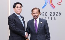 Quốc vương Brunei thăm cấp nhà nước Việt Nam từ ngày 30-11