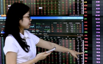 'Tân binh' tỉ USD ngành chứng khoán chào sàn lúc thị trường ảm đạm, bom tấn hay điều gì chờ đợi?