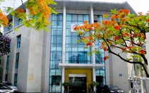 Doanh nghiệp khai thác vàng lớn nhất Việt Nam đối diện nguy cơ rời sàn chứng khoán