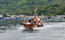 Đắk Lắk yêu cầu 24 tàu cá di chuyển khỏi vùng tác động nguy hiểm của bão Kalmaegi