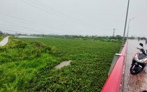 Nhiều dự án thoát lũ cho sông Tắc Nha Trang, nhưng sông đang tắc như 'dòng sông bèo'