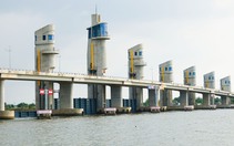 Đóng 9 đến 11 van cống Cái Lớn - Cái Bé để điều tiết nước, hạn chế ngập úng do triều cường