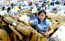 Ủy ban Chứng khoán đình chỉ kiểm toán viên ký báo cáo tài chính năm 2024 của Garmex Sài Gòn
