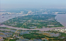 TP.HCM thúc tiến độ khởi công cầu Phú Mỹ 2 và cầu Cần Giờ vào đầu năm 2026