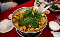 Một gia tộc Hà Nội 6 đời đúc rút tinh túy món chả cá Lã Vọng