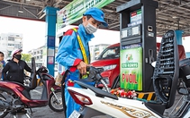 Vì sao xăng E10 khó bán dù đã thí điểm nhiều tháng?