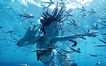 Trước thềm ra rạp Avatar 3, James Cameron đối mặt vụ kiện bản quyền