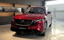 Loạt xe mới đã về Việt Nam vẫn chưa ra mắt: Phần lớn là xe hybrid, có cả mẫu đời trước top doanh số