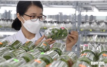 Khoa học và công nghệ mở ra cơ hội cách mạng mới trong nông nghiệp