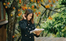 Thời tiết hôm nay 21-12: Bắc Bộ, Nam Bộ nắng; Trung Bộ mưa to