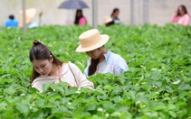 Thời tiết hôm nay 20-12: Bắc Bộ nắng yếu, Nam Bộ nắng gắt